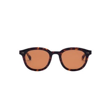 VANITY EFFECT CLYDE SUN TORTOISE