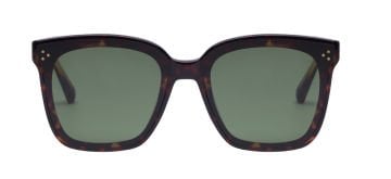 VANITY EFFECT BONNIE SUN TORTOISE
